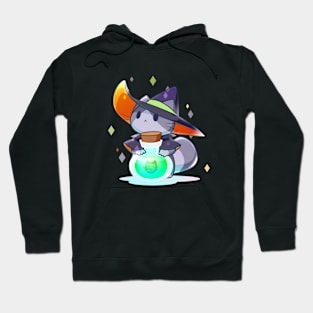 Potion Mage Hoodie